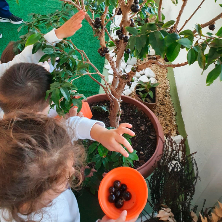 Rotina de Horta e Jardinagem